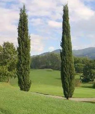 Grand Nizza Et Suisse Montecatini Terme